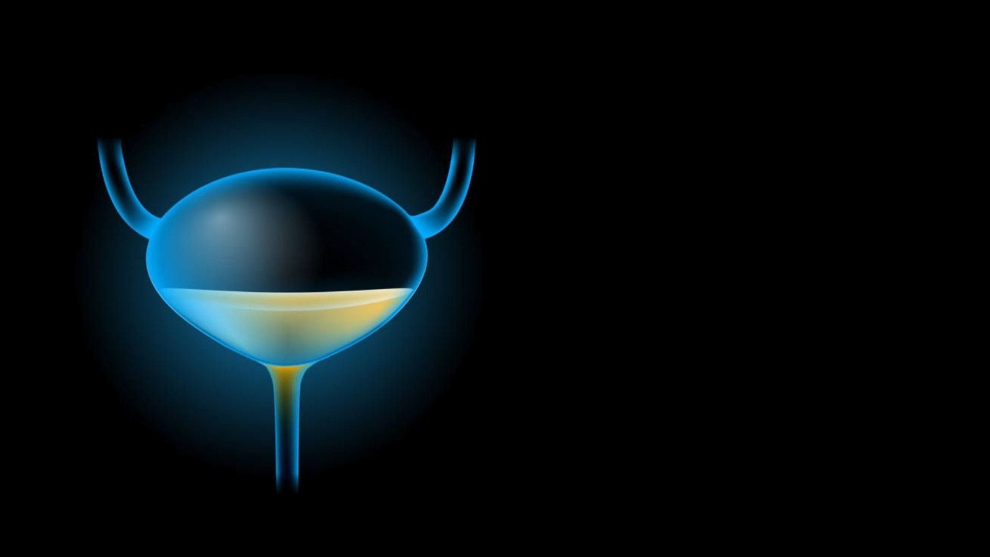 3D illustration of the bladder for the Comprehensive Prostate Health Check in Sharjah